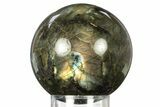 Flashy, Polished Labradorite Sphere - Great Color Play #277268-1